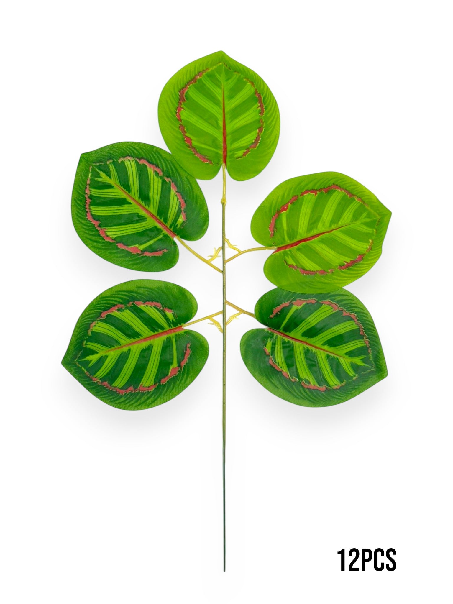 Calathea Leaf Spray 17" (12pcs)