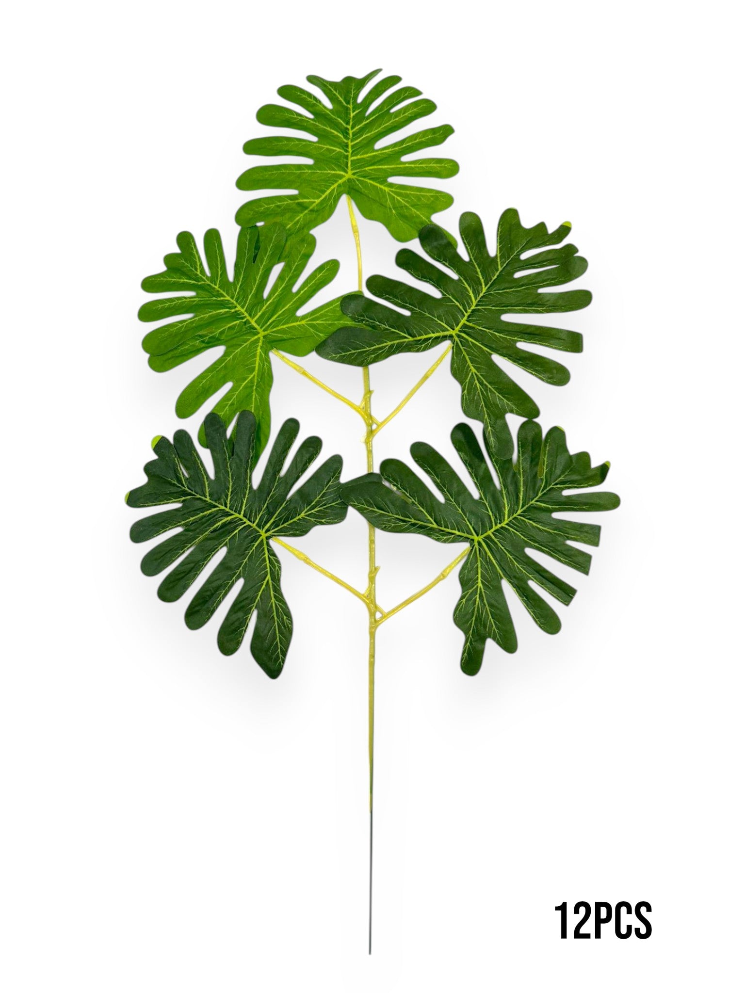 Philodendron Leaf Stem 21" (12pcs)