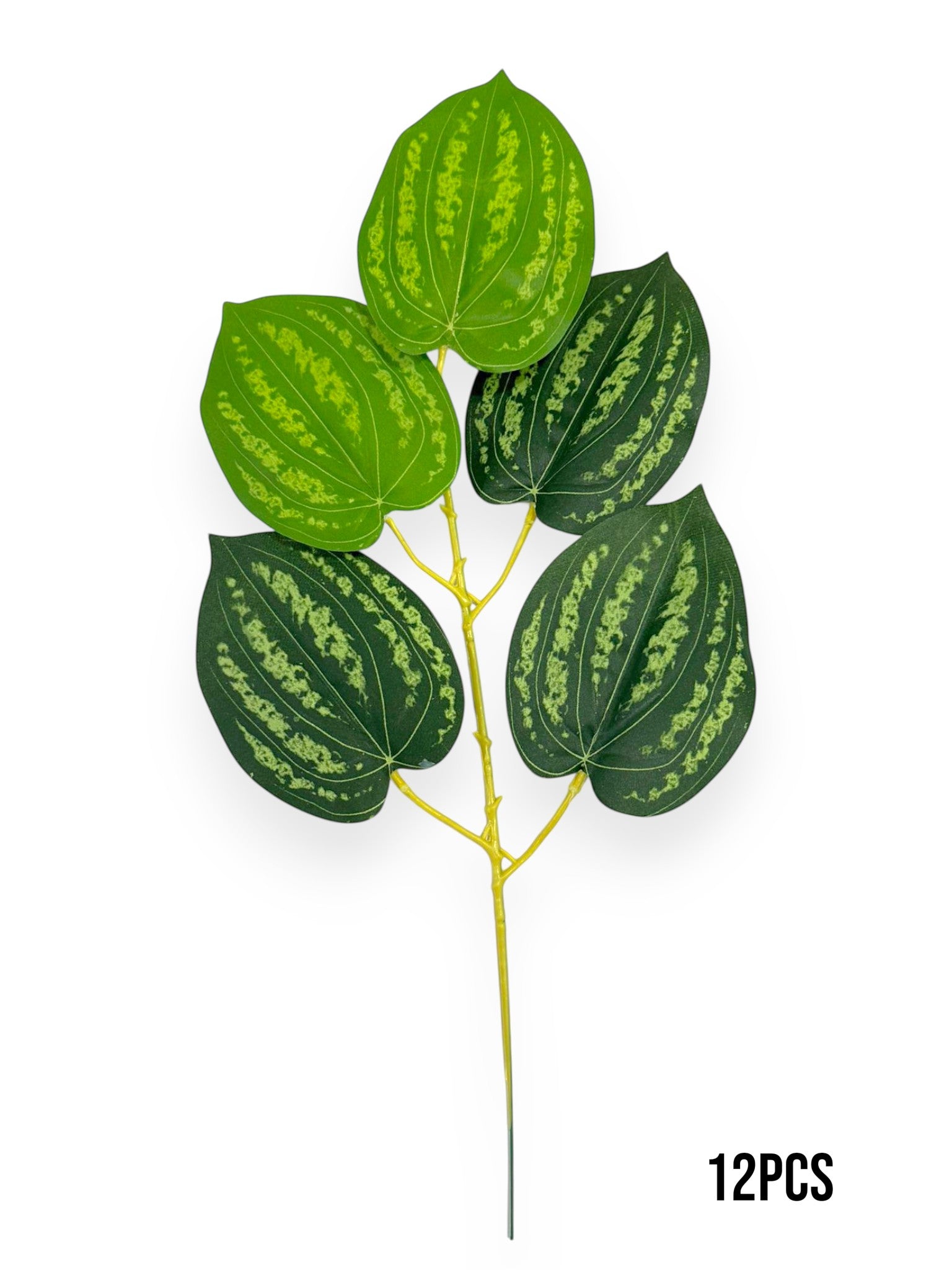 Peperomia Leaf Stem 21" (12pcs)