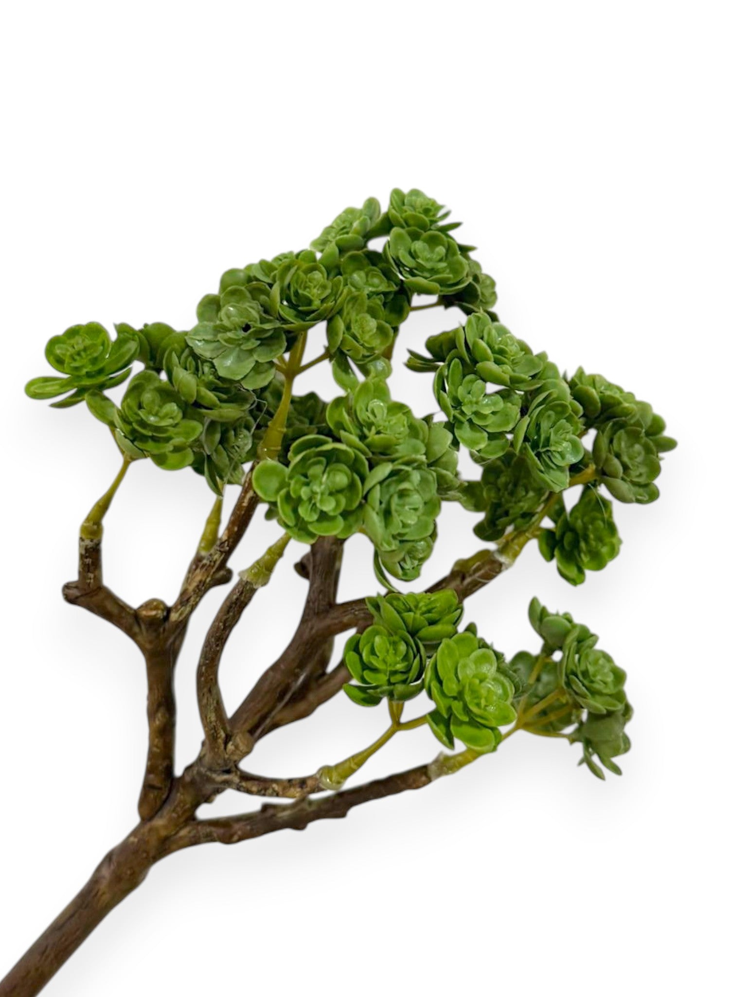 Real Touch Sedum Bush 10"