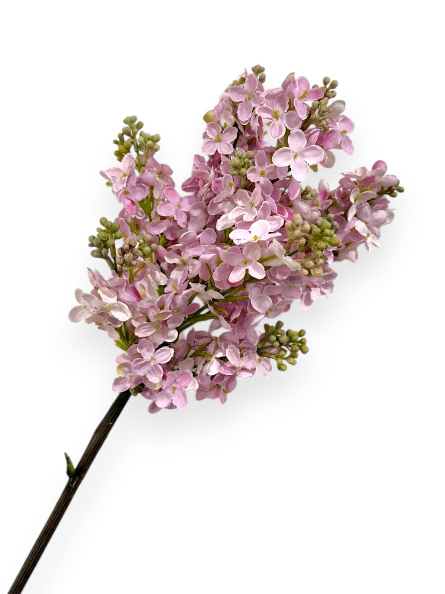 Lilac Stem  32.5"