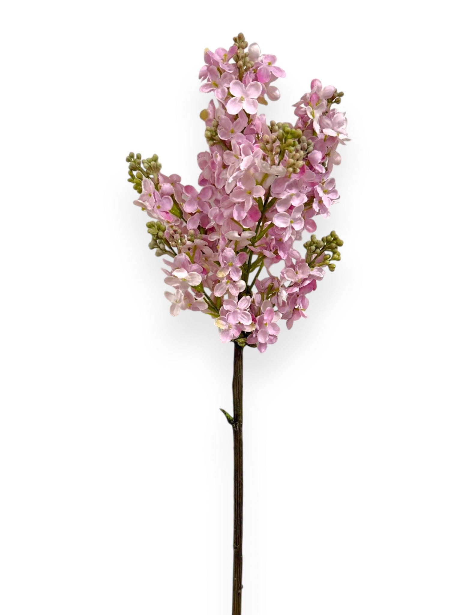 Lilac Stem  32.5"