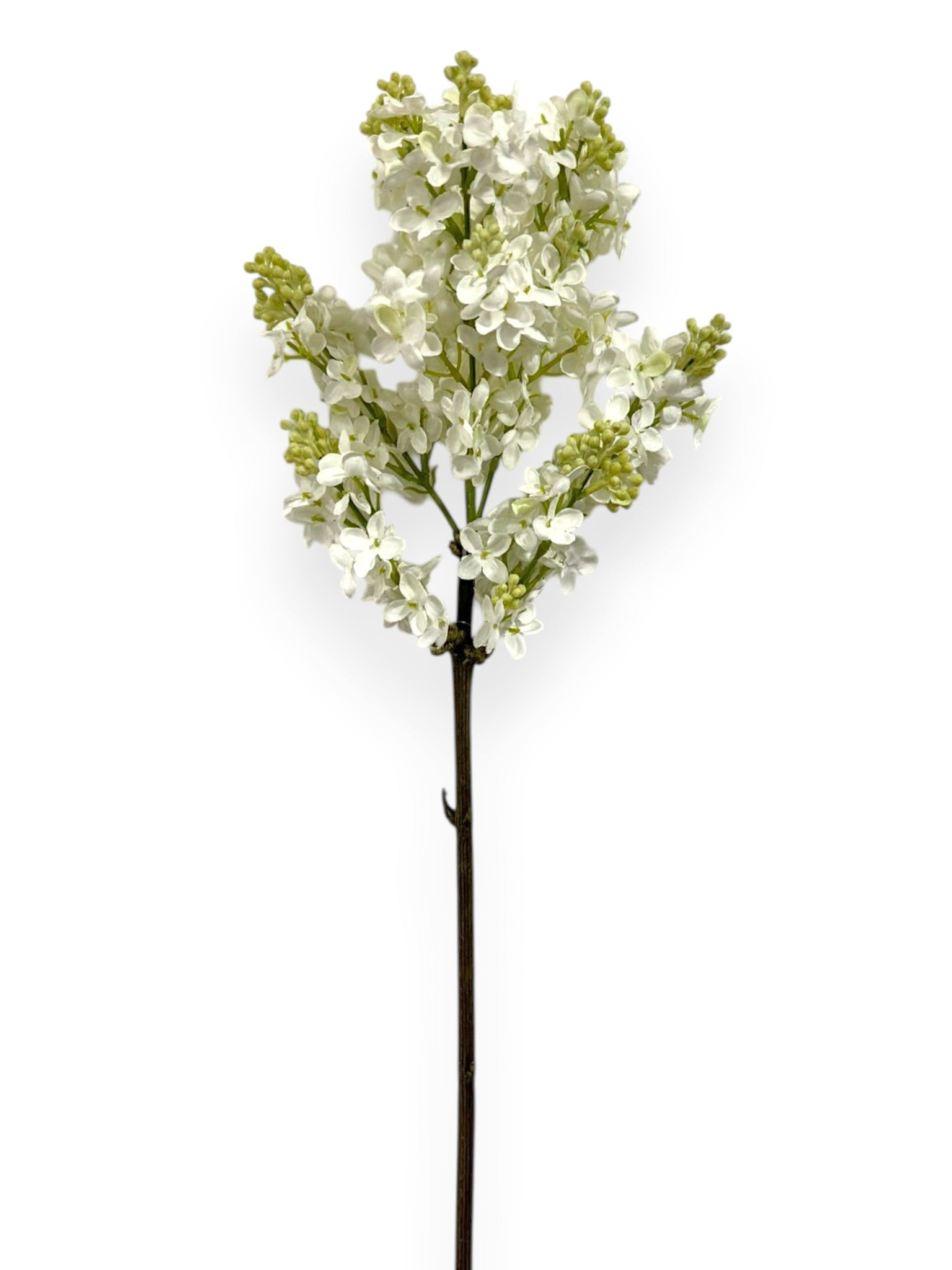 Lilac Stem – 32.5" Classic White Elegance