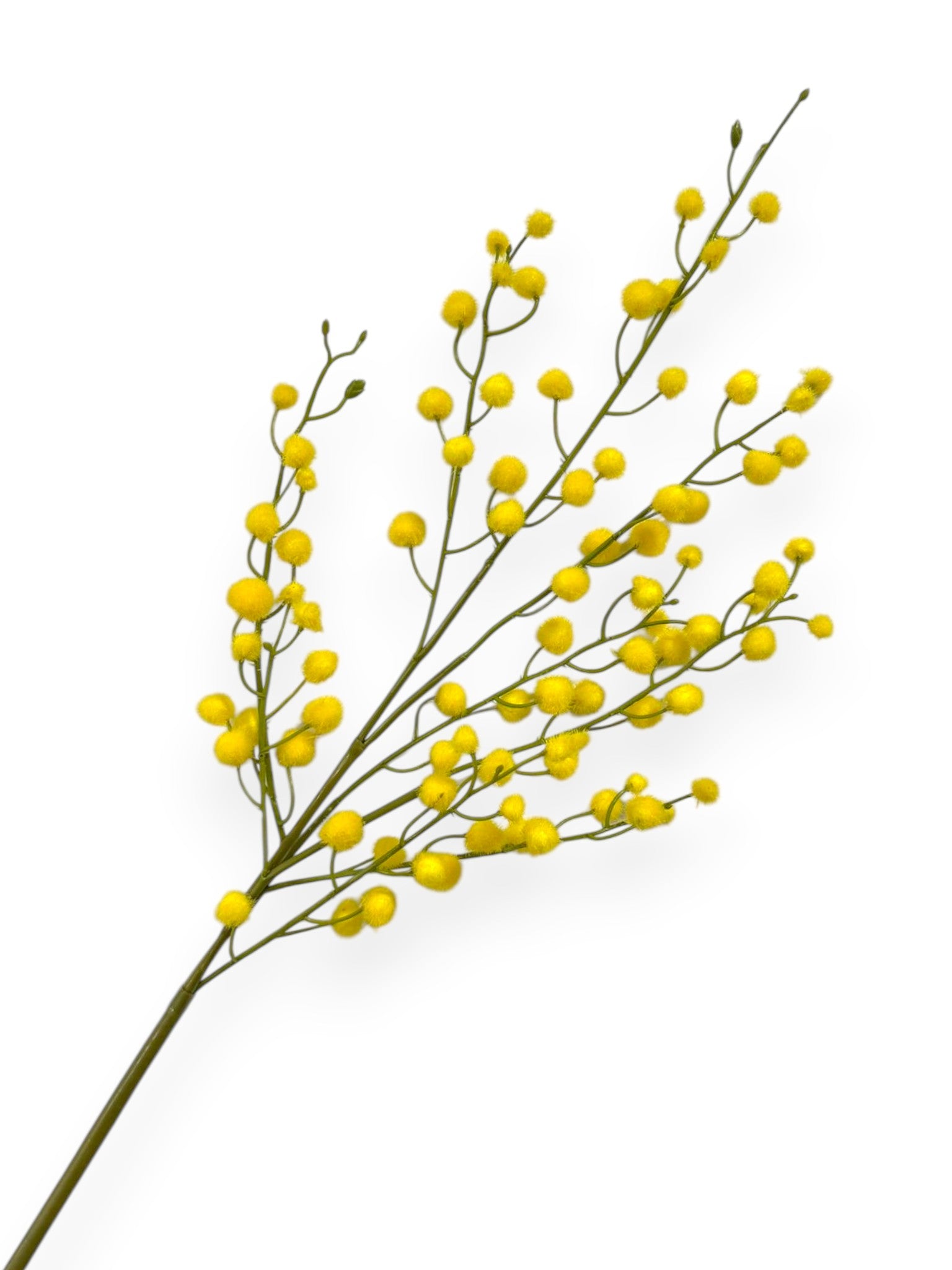 Golden Wattle Spray (Mimosa) 35"