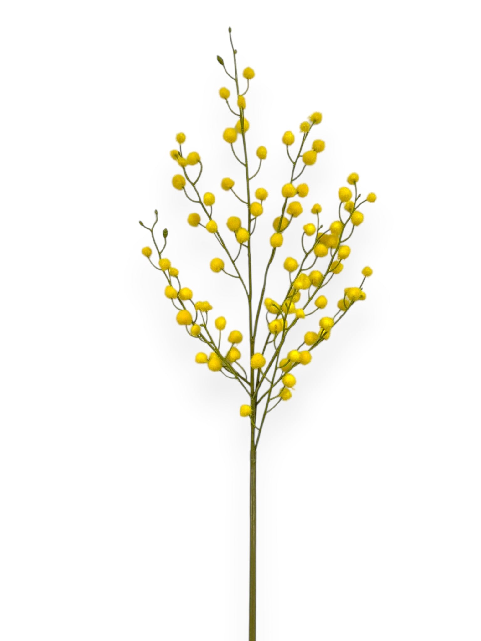 Golden Wattle Spray (Mimosa) 35"
