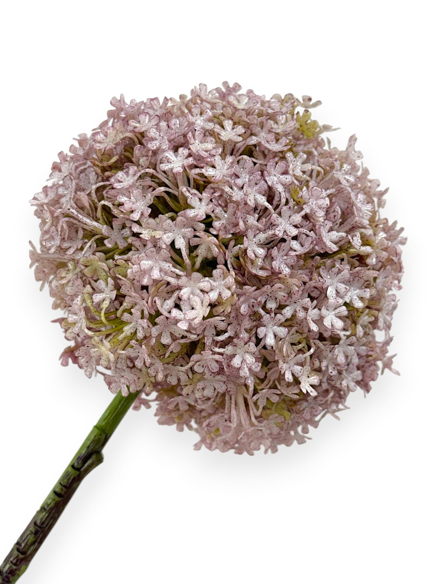Allium Snowball Spray 32"