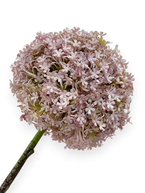 Allium Snowball Spray 32"