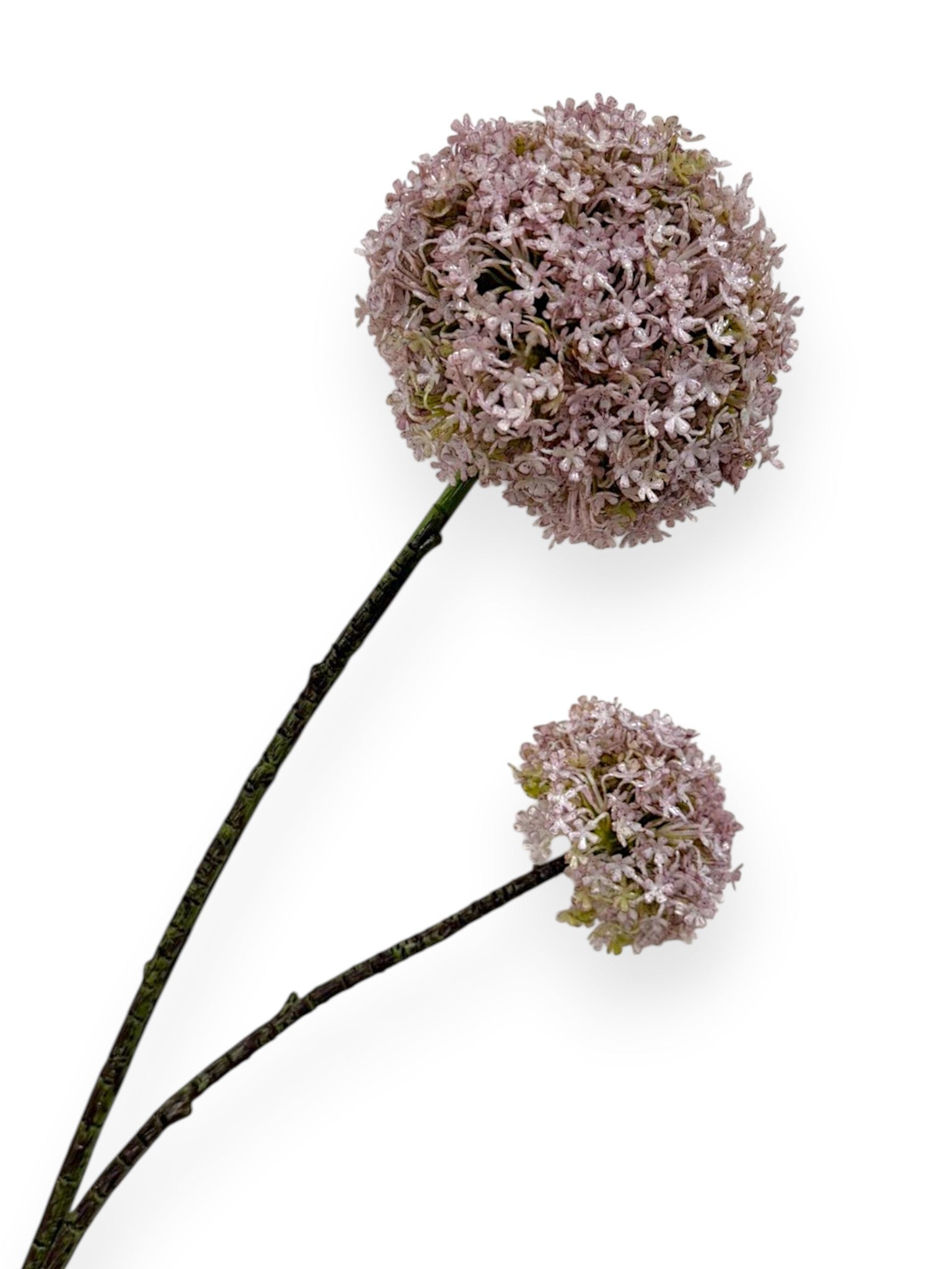 Allium Snowball Spray 32"