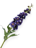 Delphinium Spray 40"