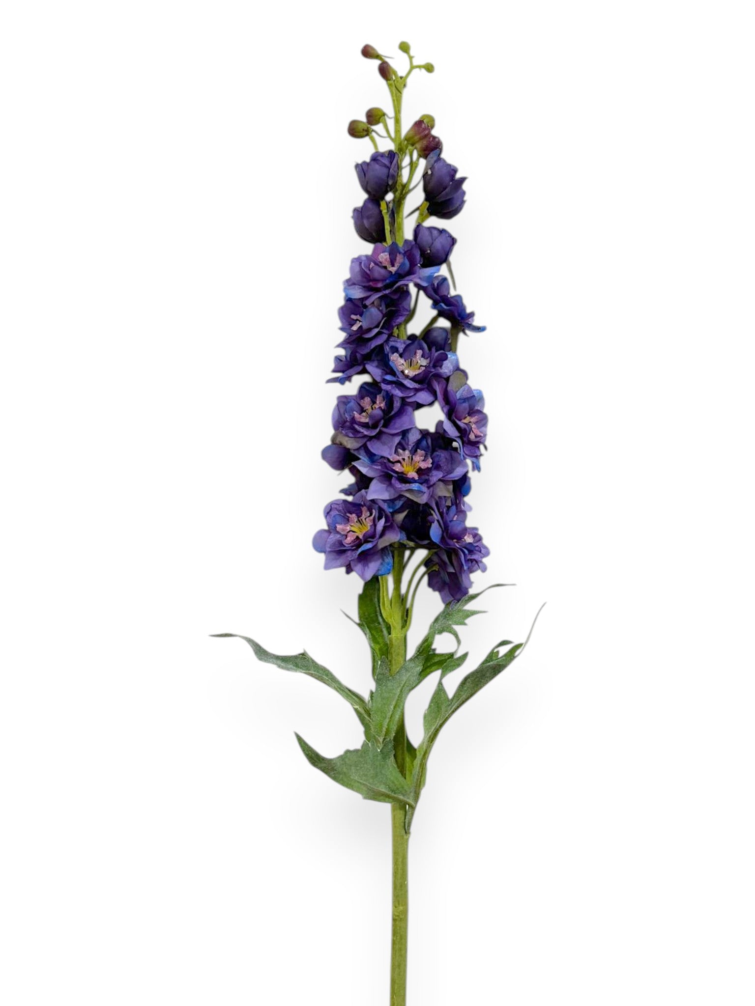 Delphinium Spray 40"
