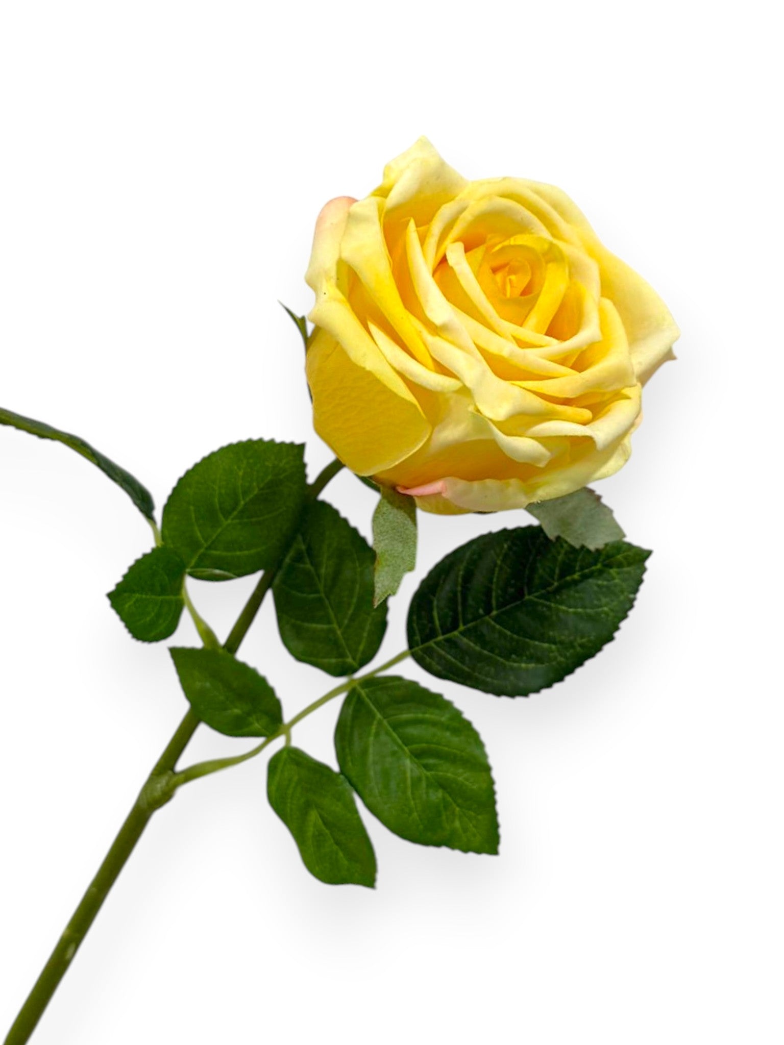 Natural Touch Rose 18"