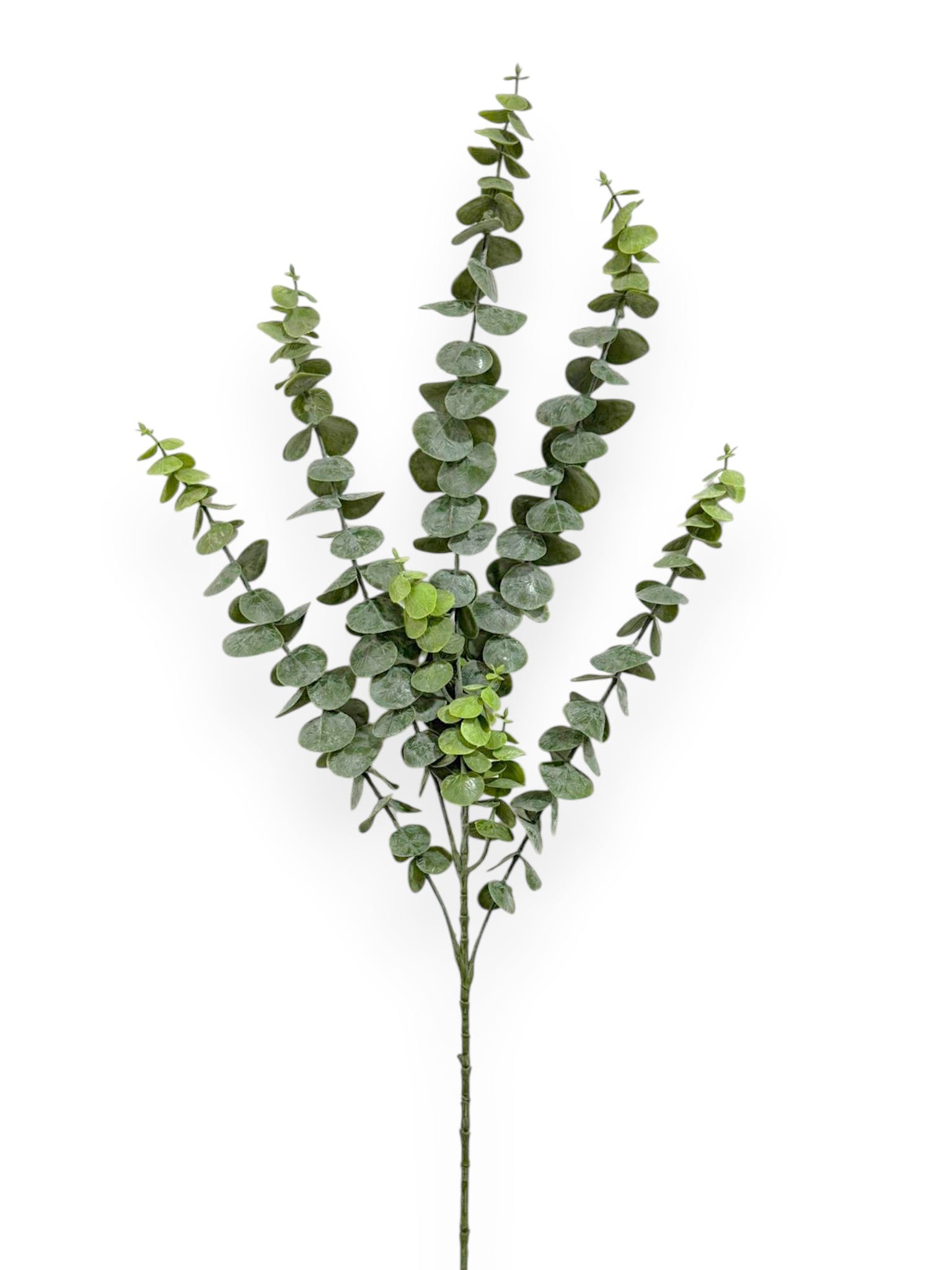 Eucalyptus Leaf Spray 29" (120 Leaves)