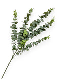 Eucalyptus Leaf Spray 29" (120 Leaves)
