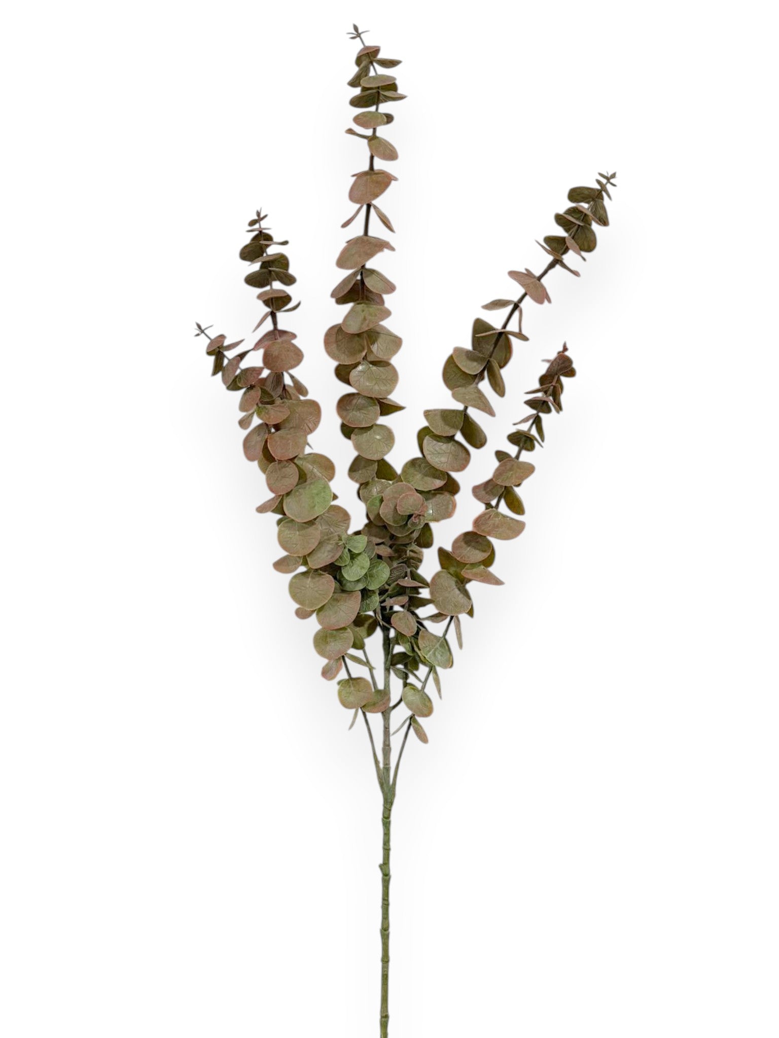 Eucalyptus Leaf Spray 29" (120 Leaves)