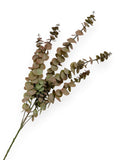 Eucalyptus Leaf Spray 29"