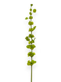 Bells of Ireland Spray 42"