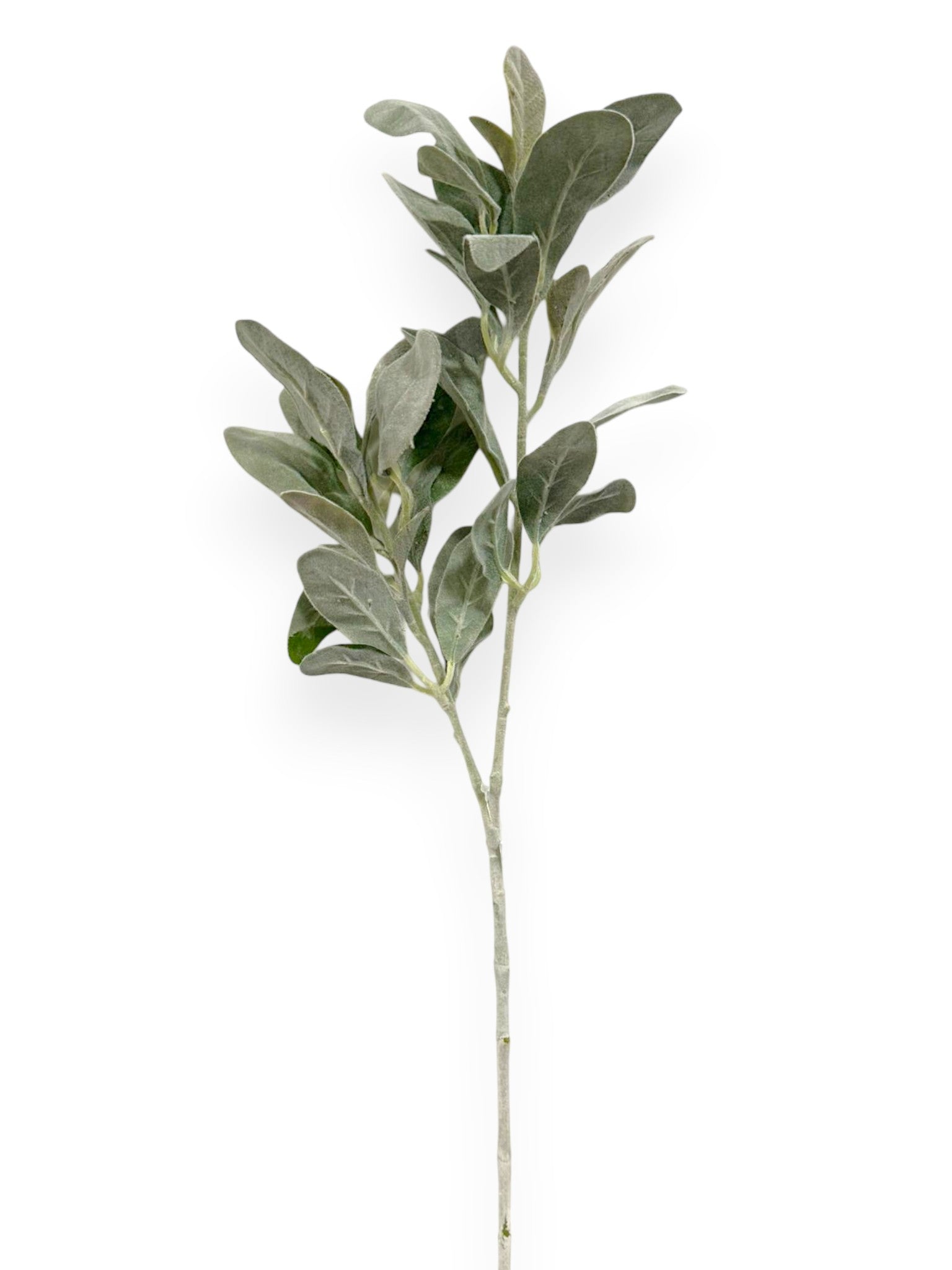 Sage Leaf Stem 28"