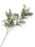 Sage Leaf Stem 28"