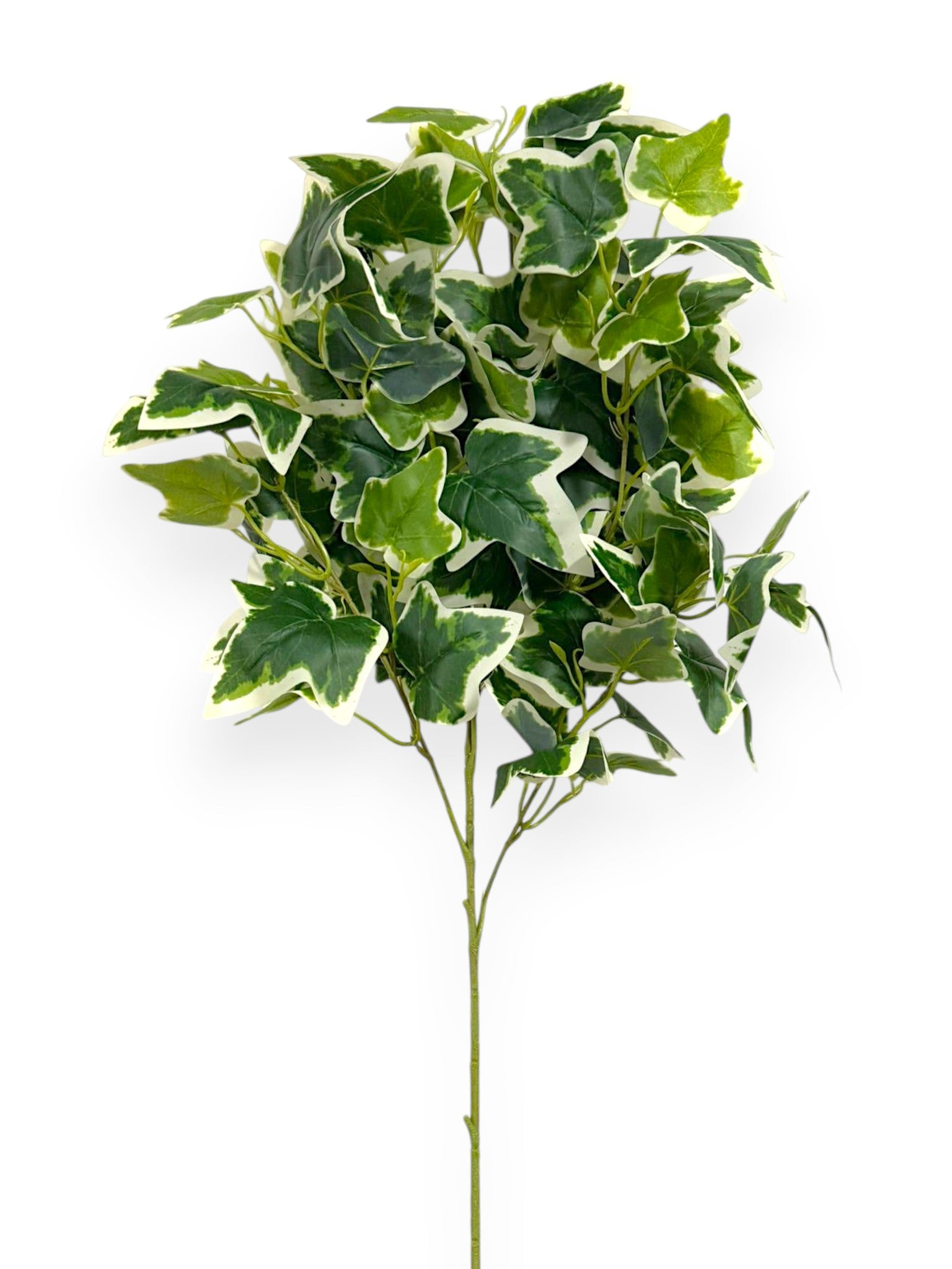 Ivy Spray 36" – Variegated