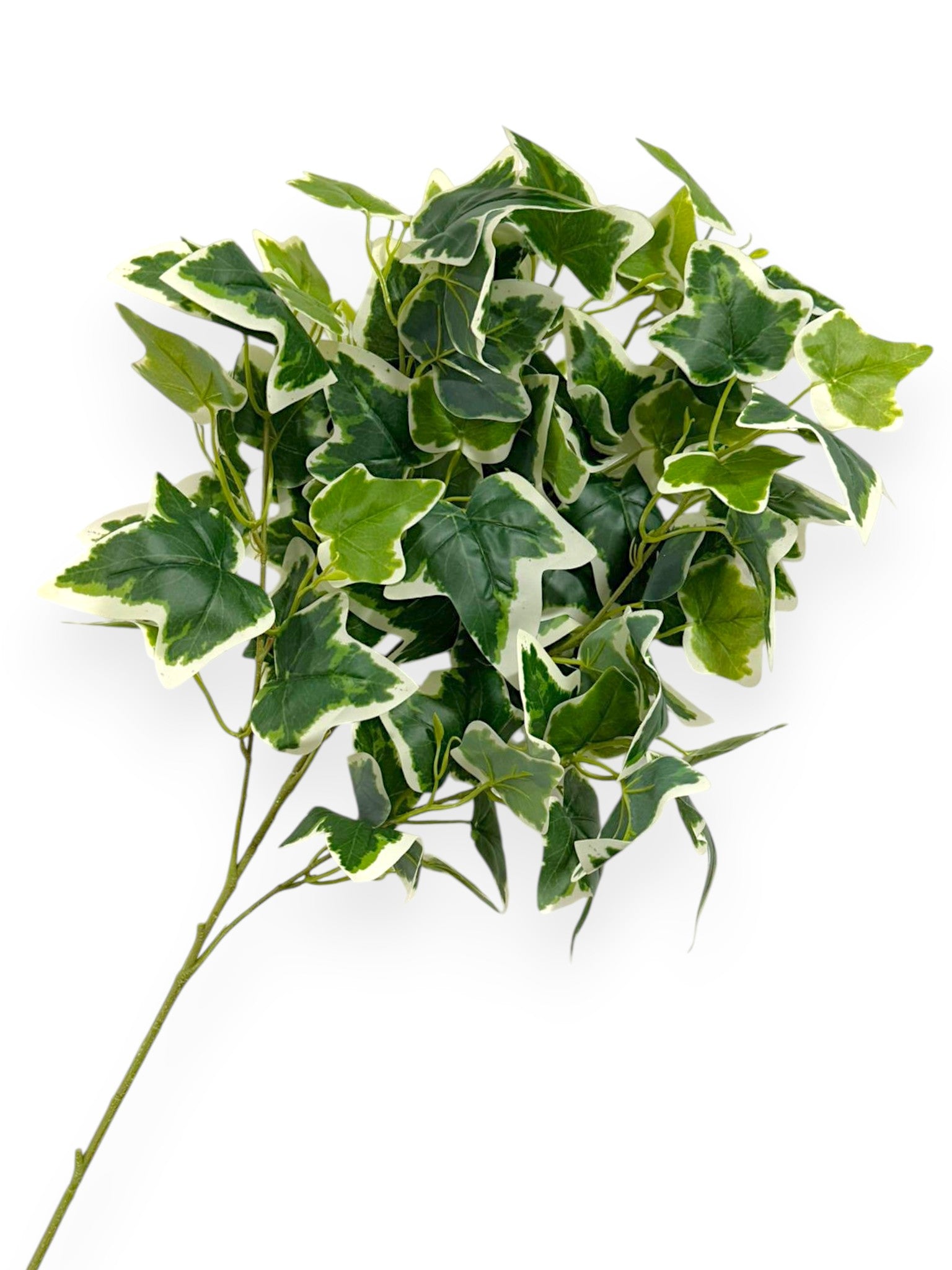Ivy Spray 36" – Variegated