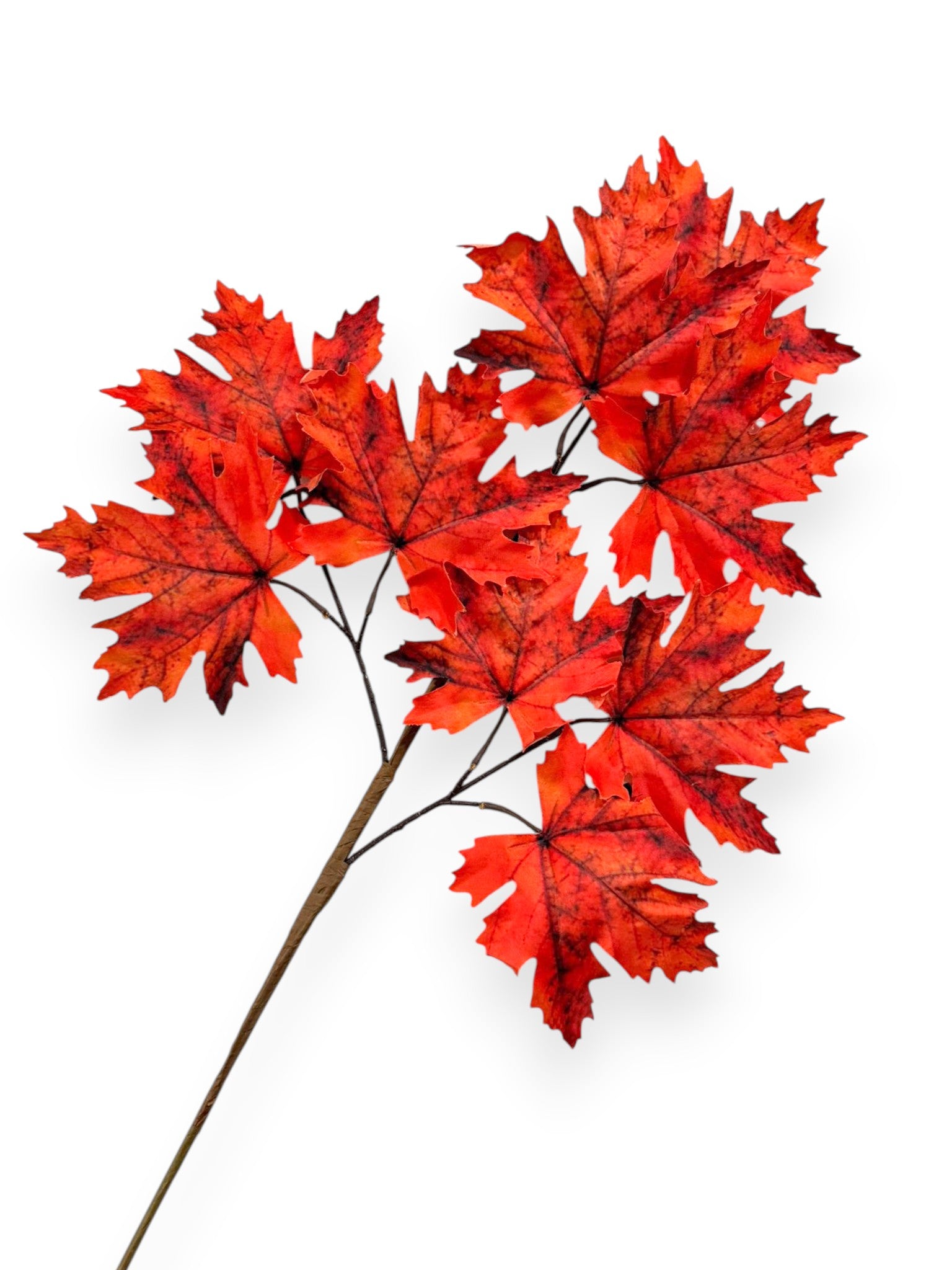 Maple Leaf Spray 29"
