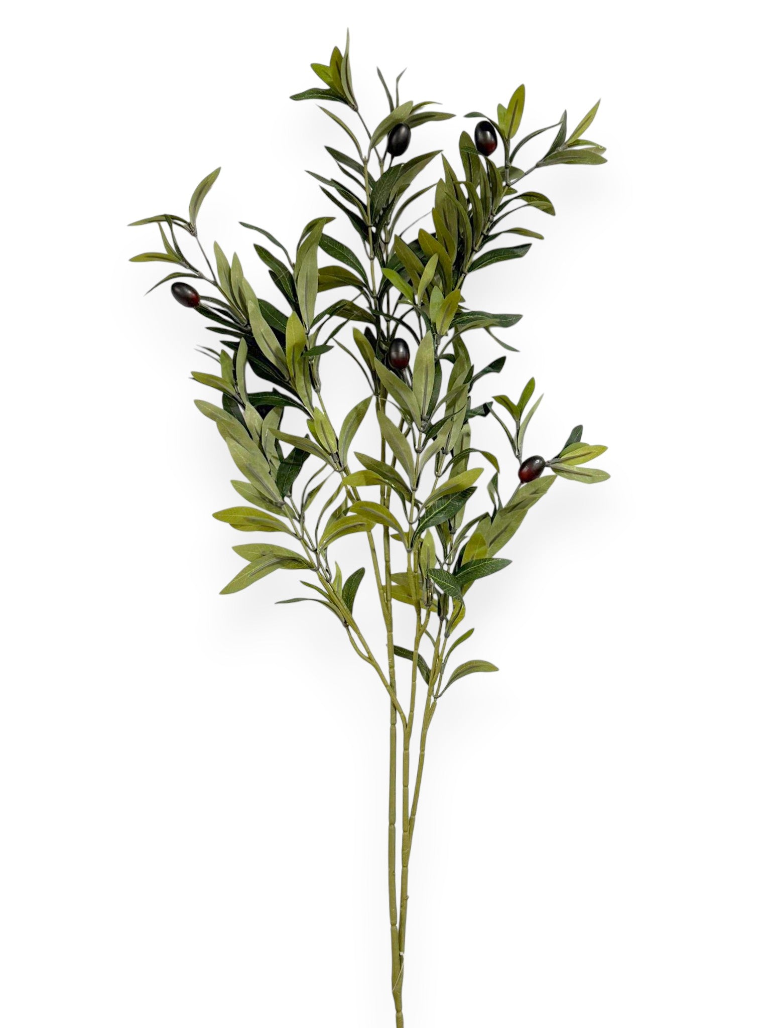 Olive Leaf Spray 29"