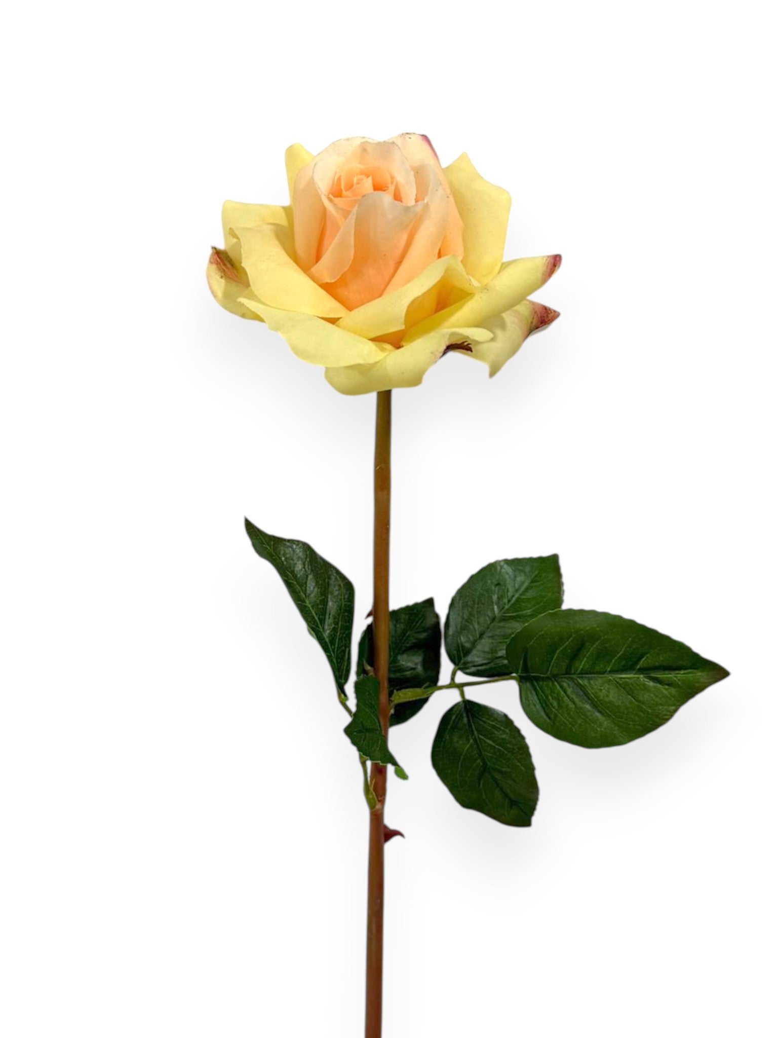 Real Touch Rose Stem 23"