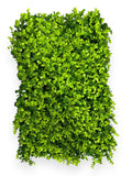 Mix Grass Mat 40×60 cm