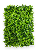 Matt Long Grass Panel 40×60 cm
