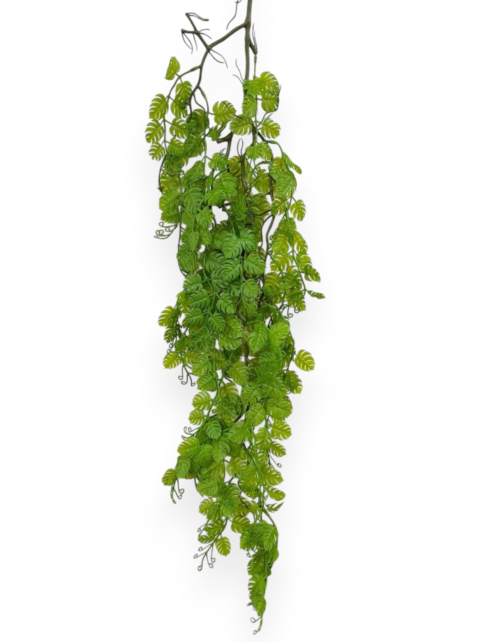 Hanging Mini Monstera 35" (2pcs)