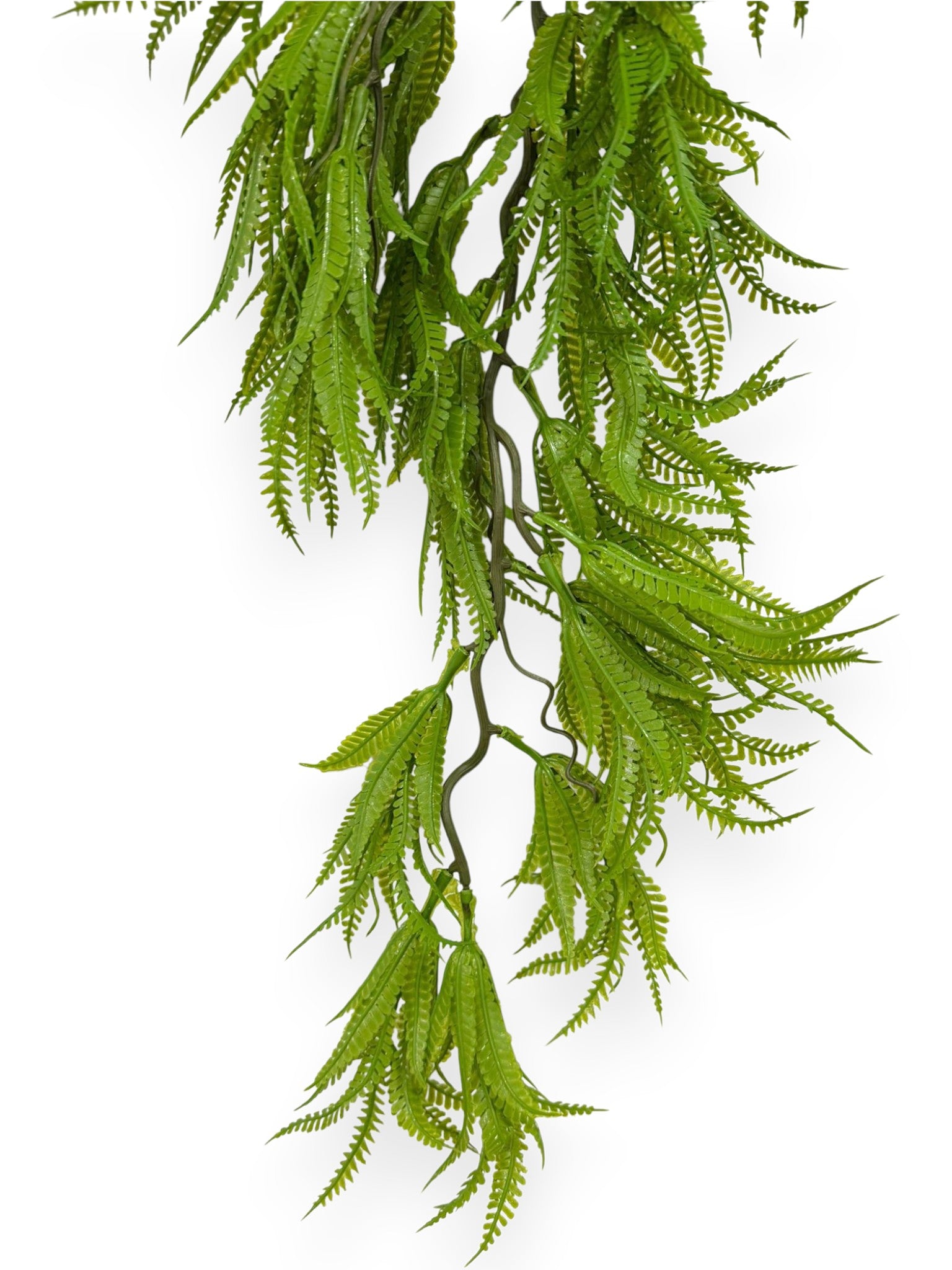 Hanging Fern 36" (2pcs)