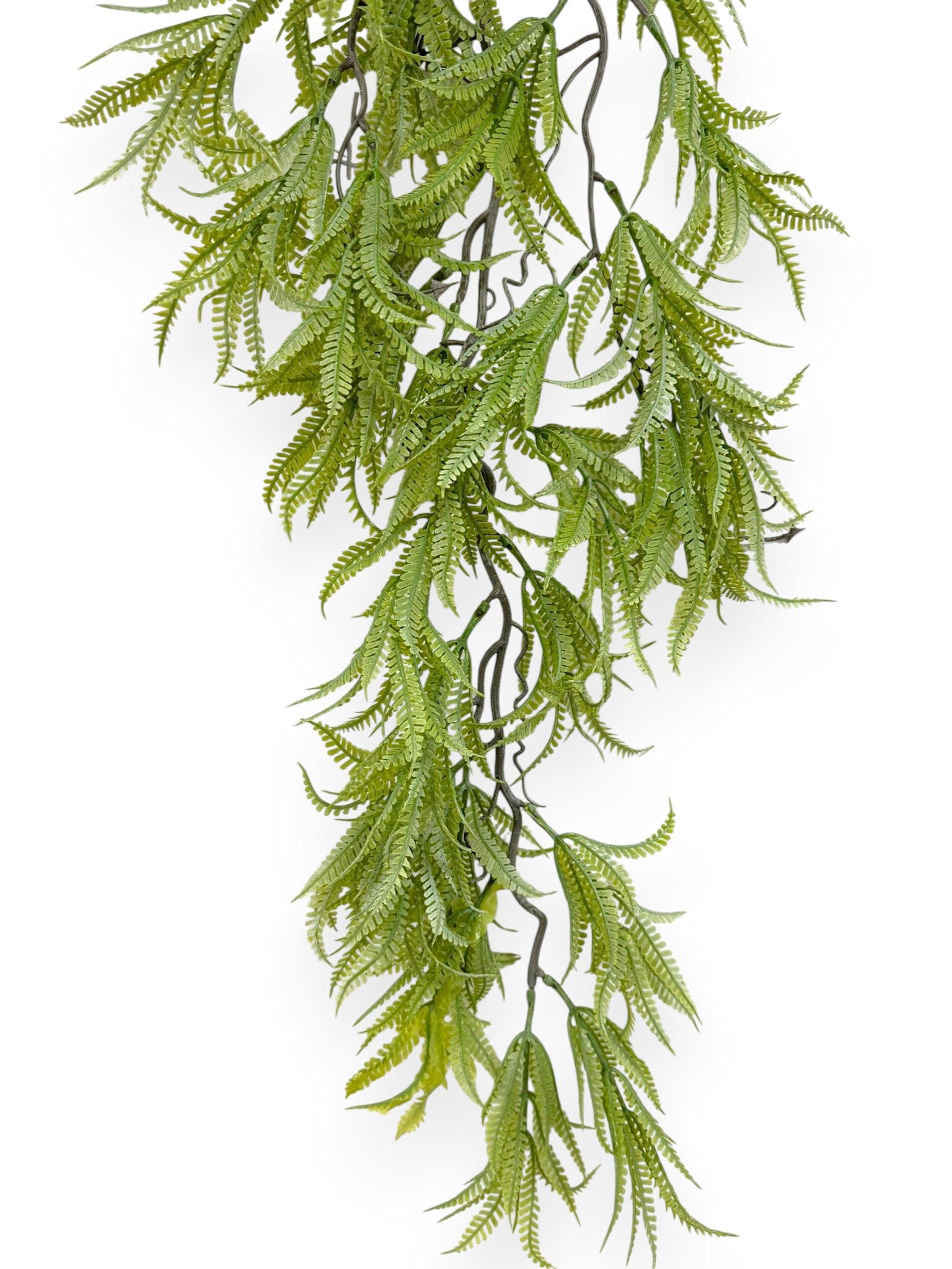 Hanging Fern 36" (2pcs)