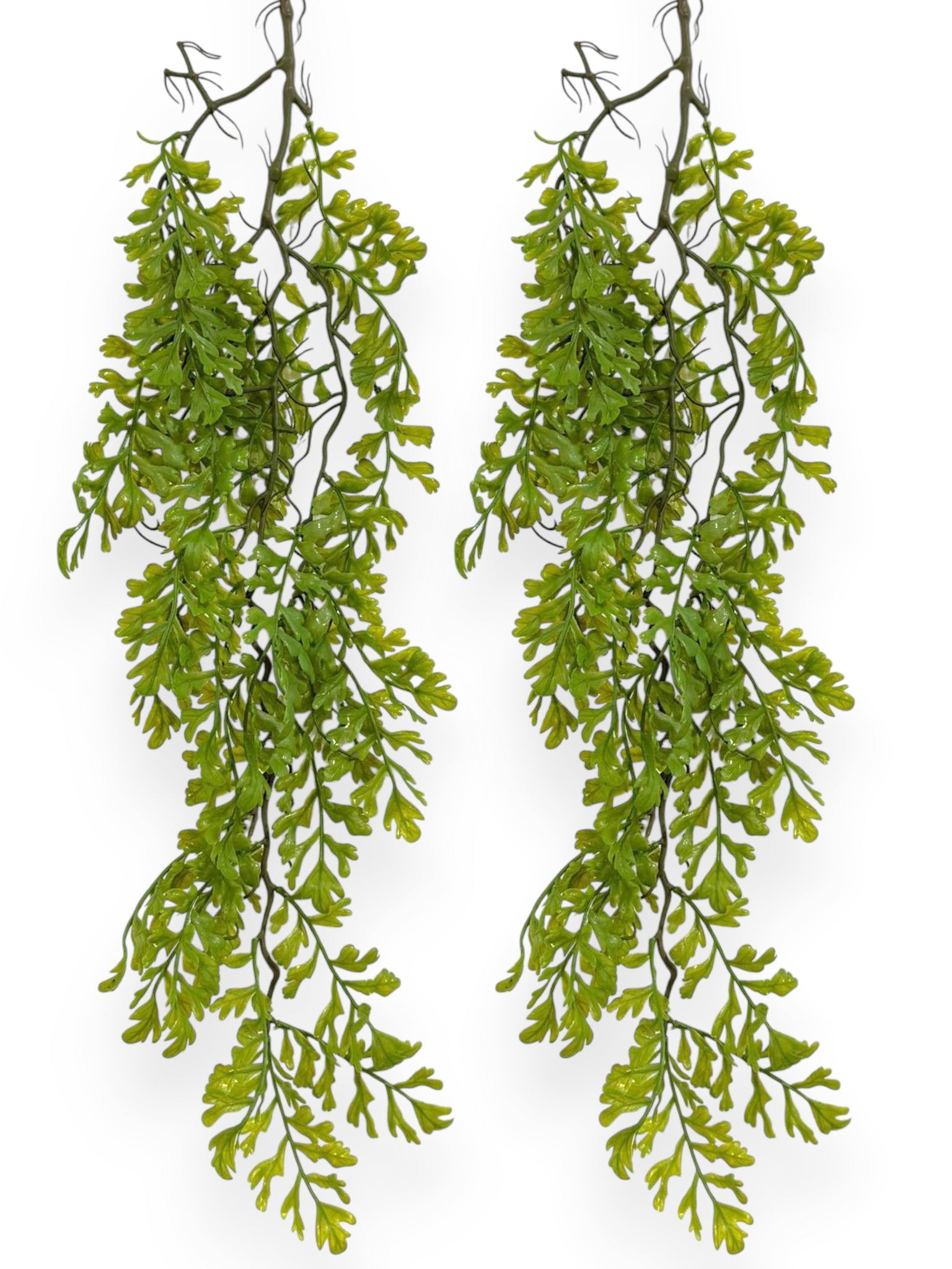 Hanging Fern 36" (2pcs)