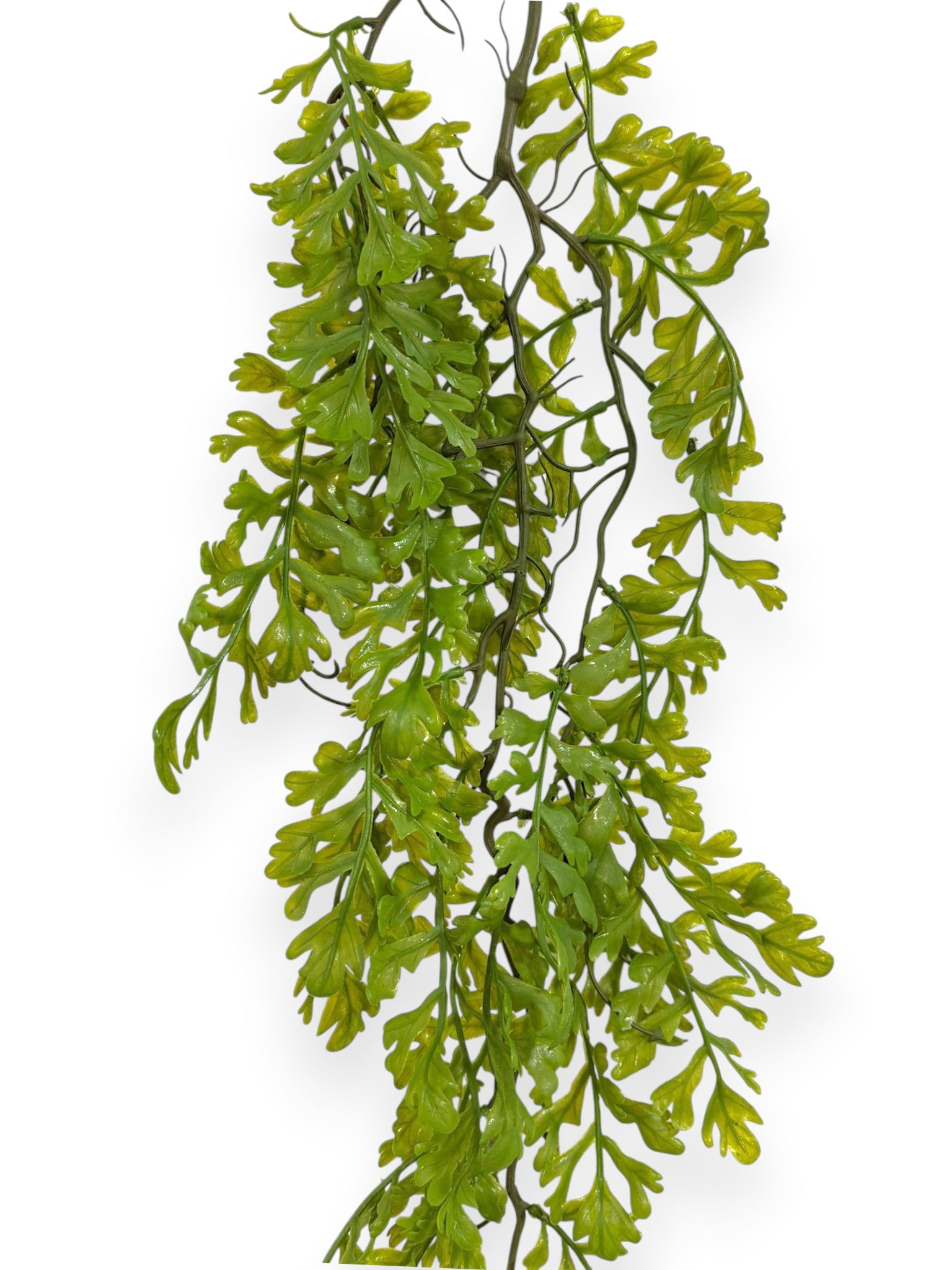 Hanging Fern 36" (2pcs)