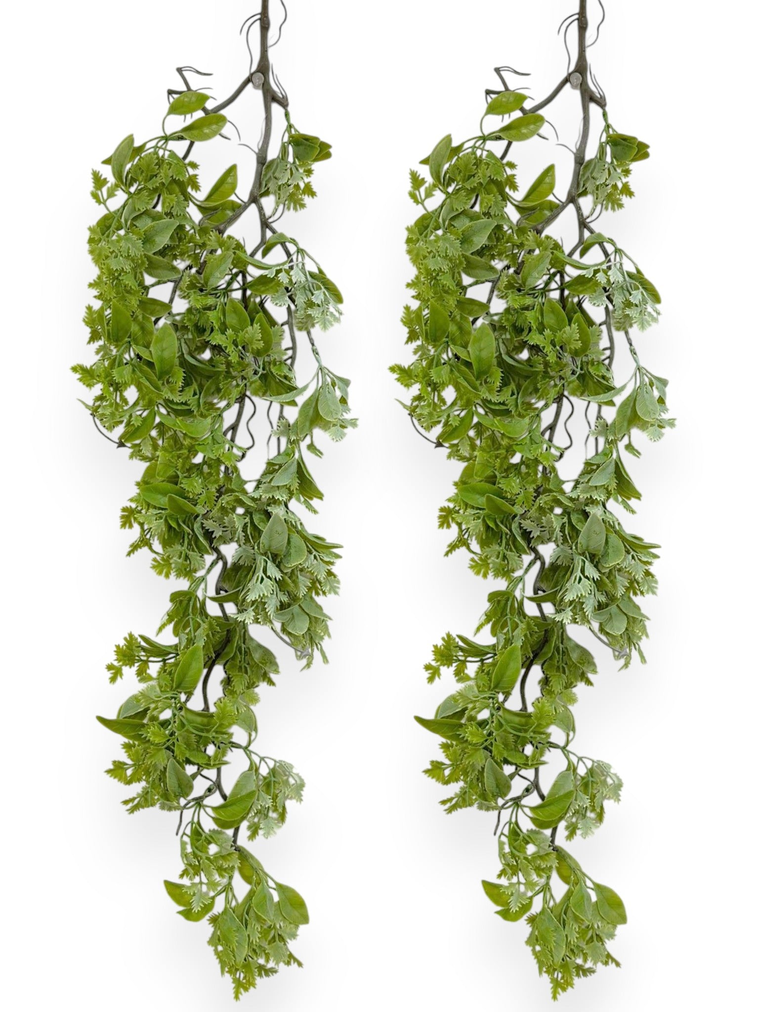 Hanging Mix Fern 34" (2pcs)
