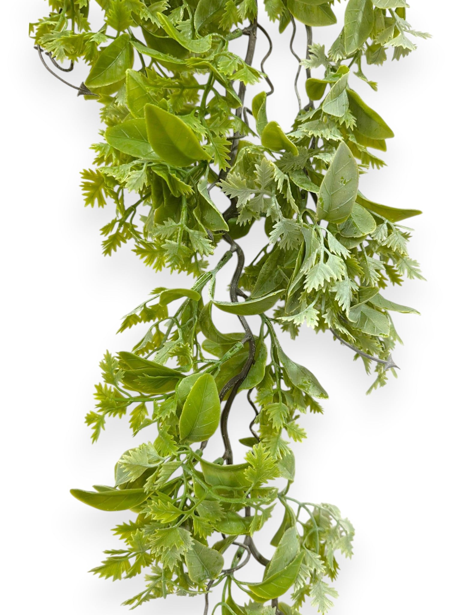 Hanging Mix Fern 34" (2pcs)