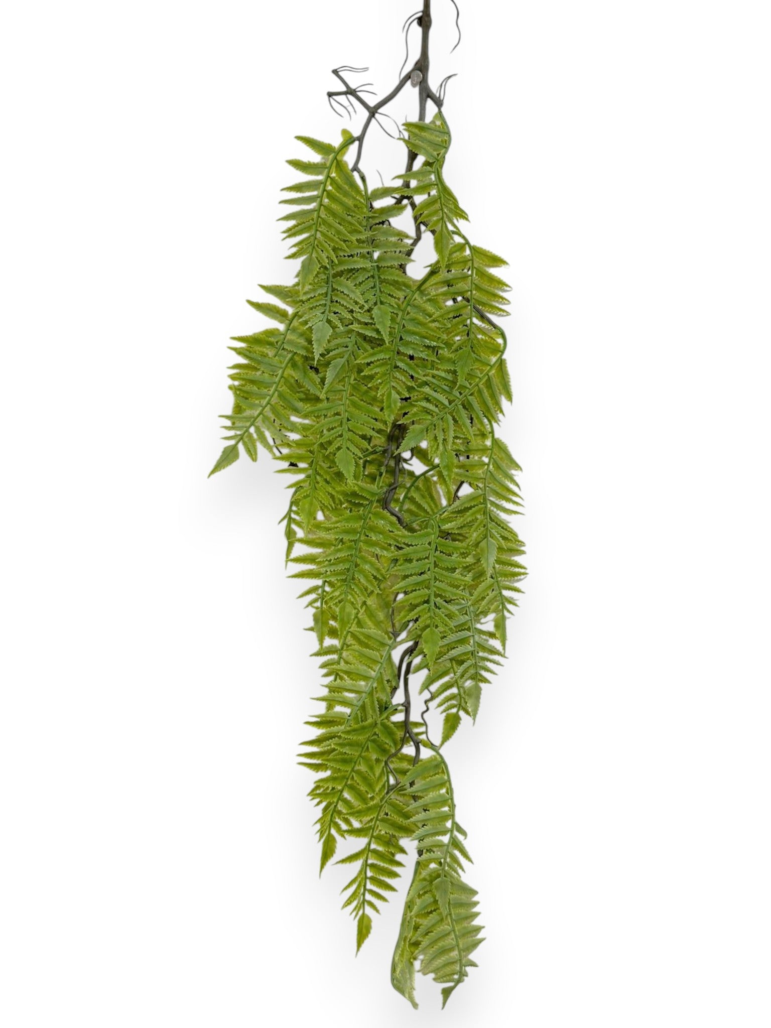 Hanging Bush Fern 37" (2pcs)