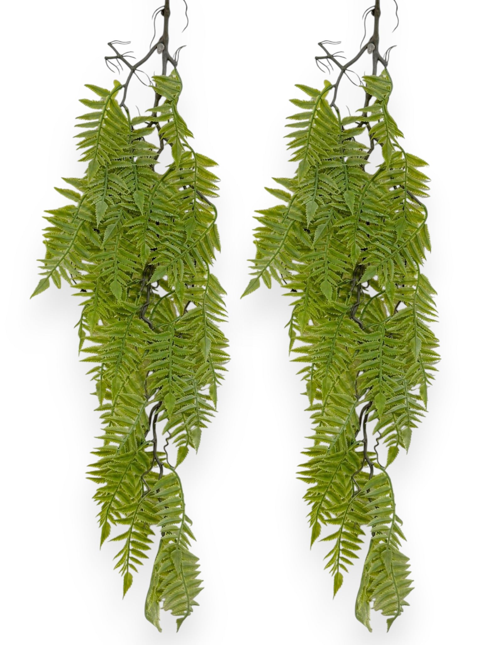 Hanging Bush Fern 37" (2pcs)