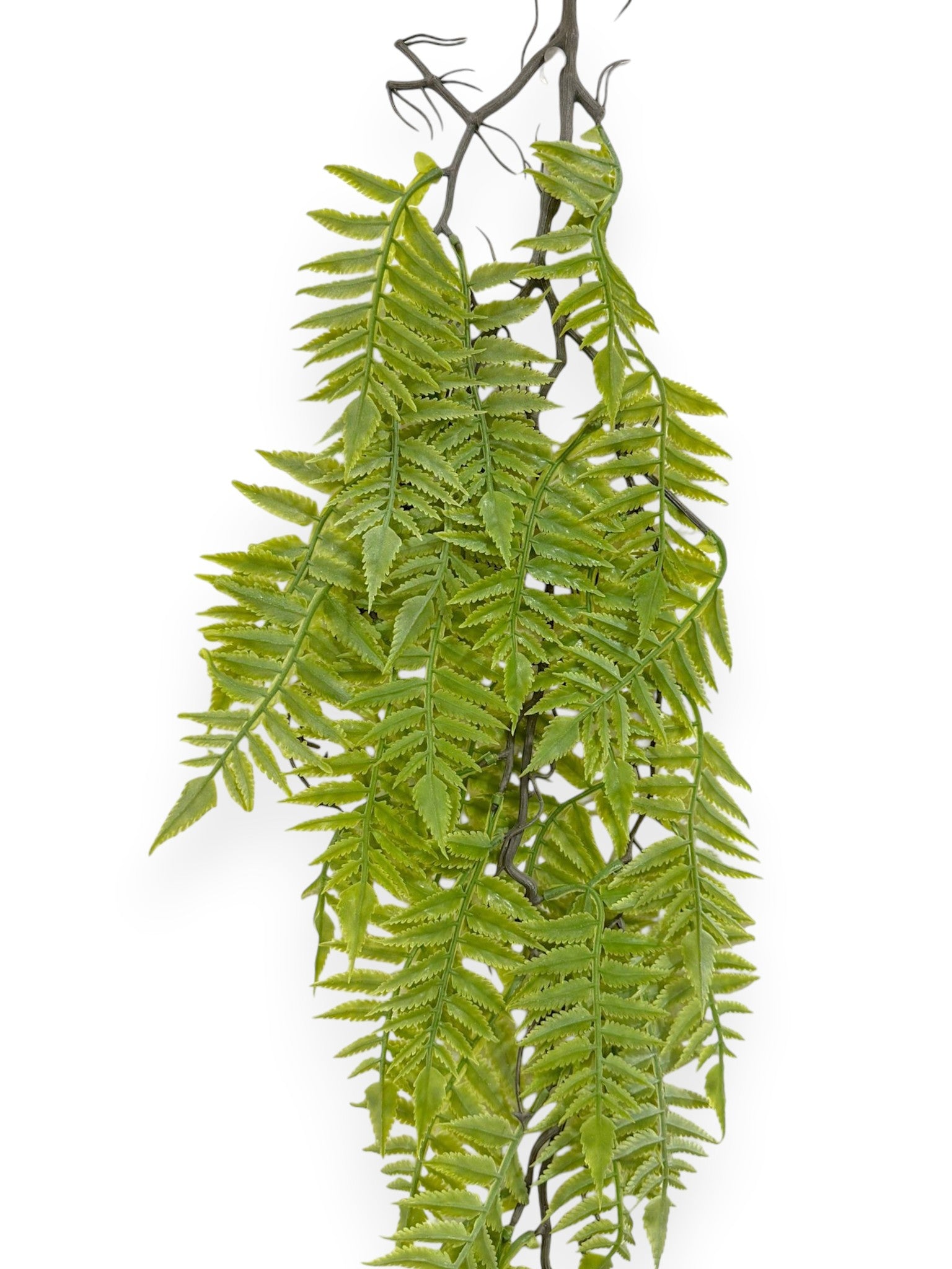 Hanging Bush Fern 37" (2pcs)