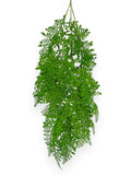 Hanging Fern 27" (2pcs)