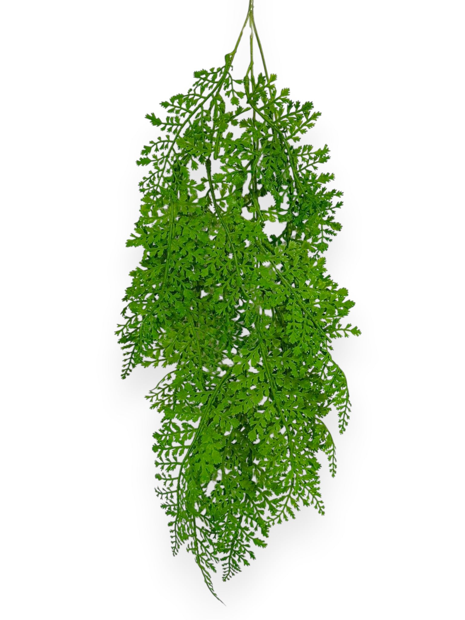 Hanging Fern 27" (2pcs)