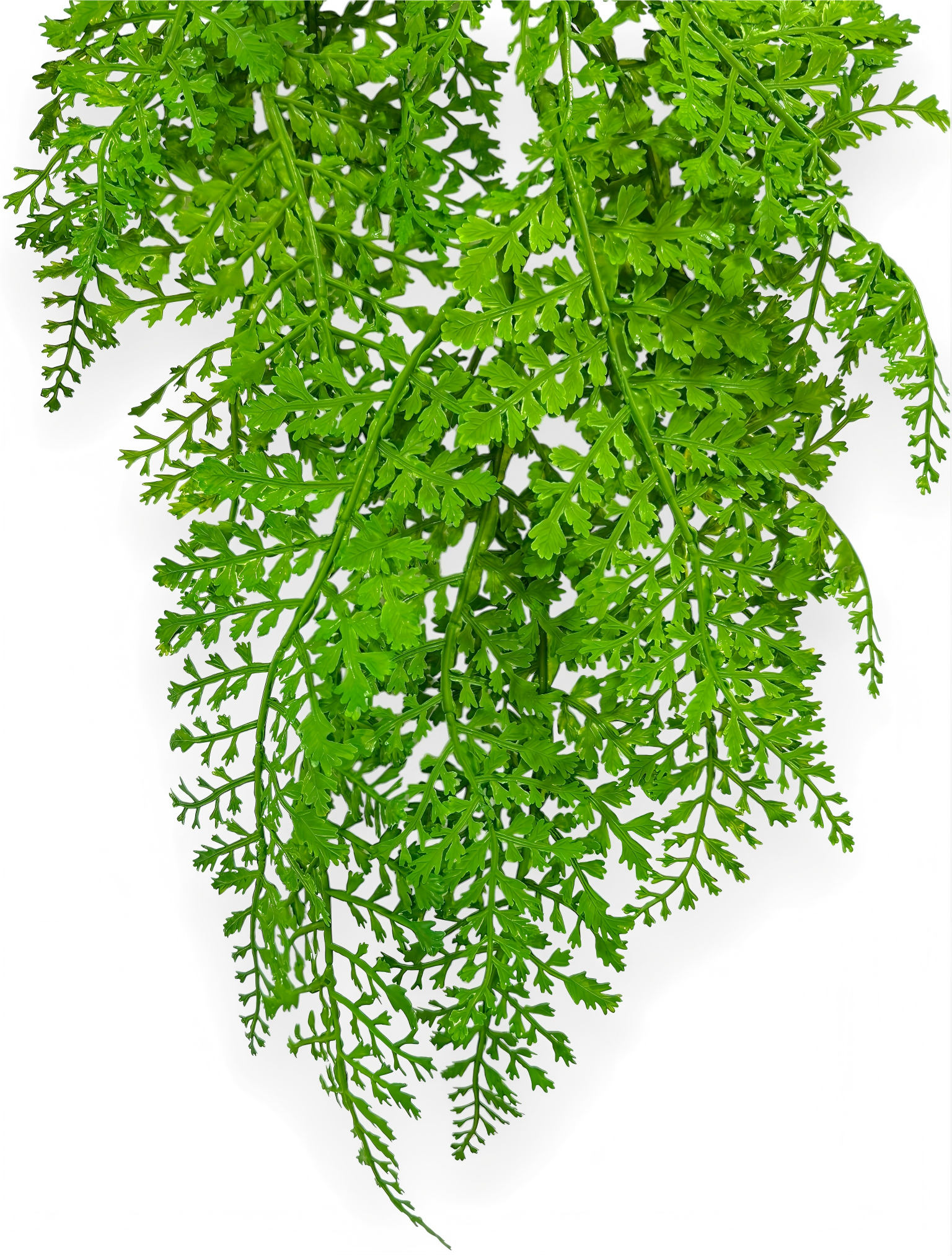 Hanging Fern 27" (2pcs)