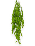 Hanging Willow 29" (2pcs)
