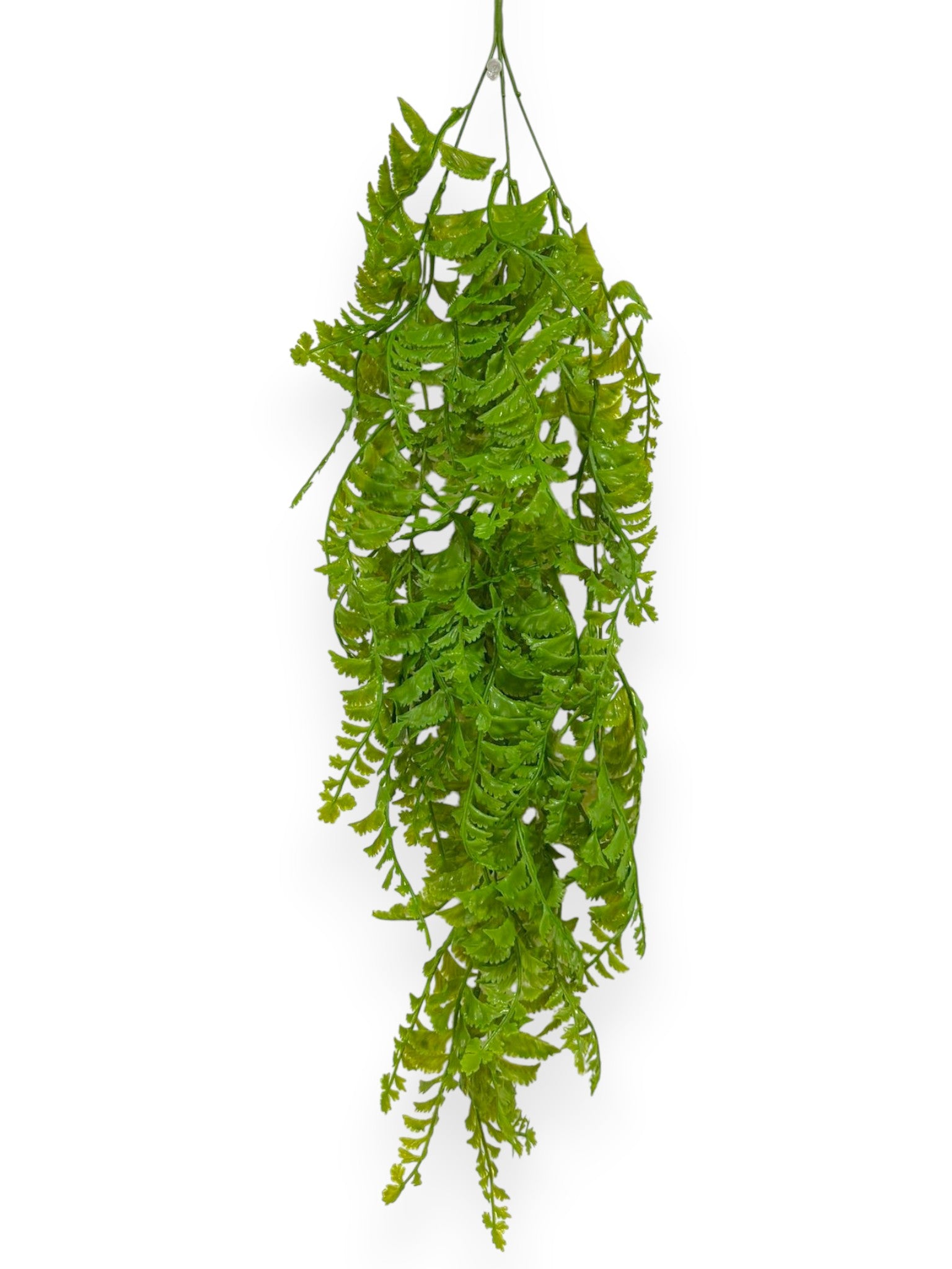 Hanging Fern 30" (2pcs)