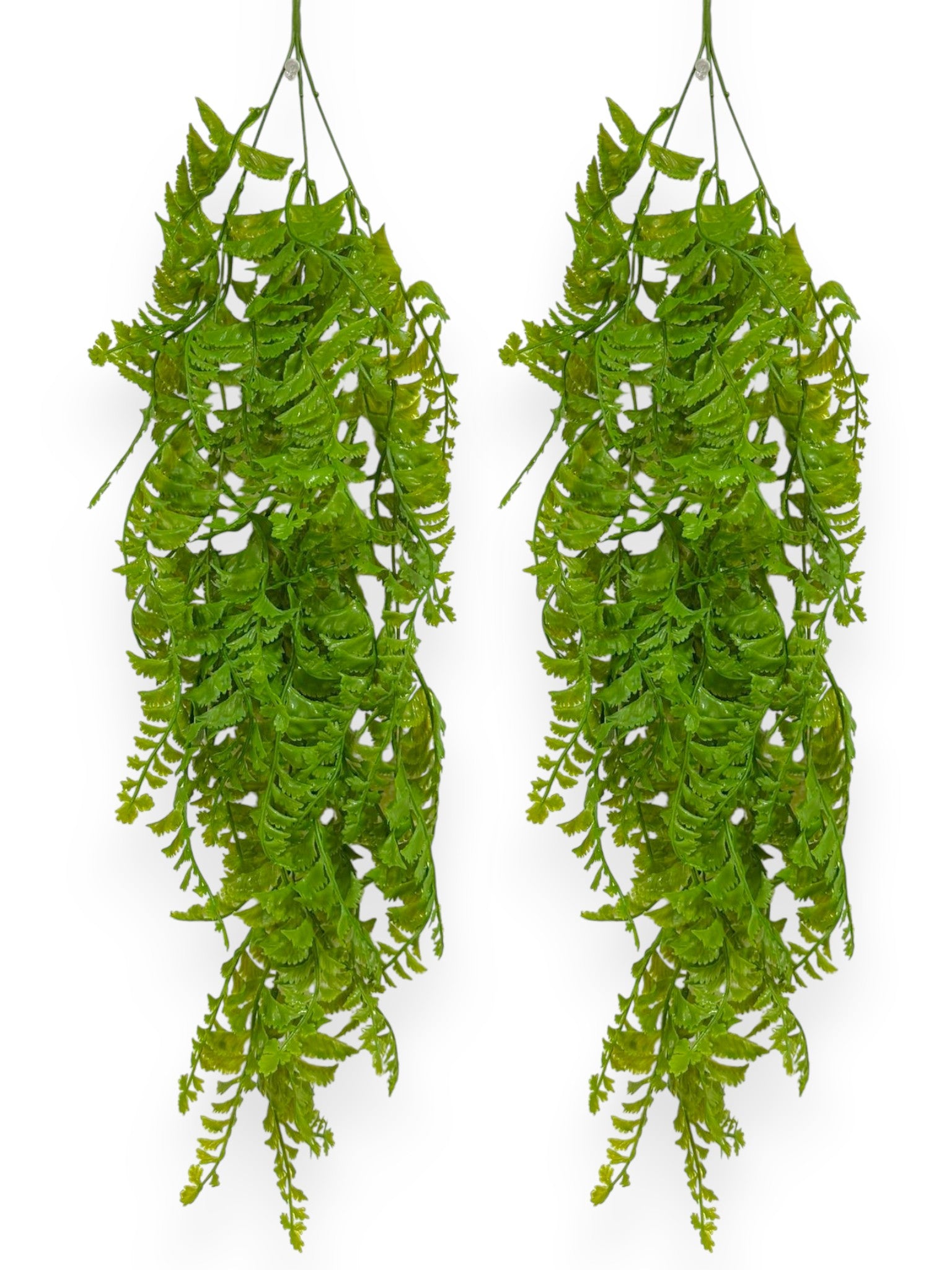 Hanging Fern 30" (2pcs)