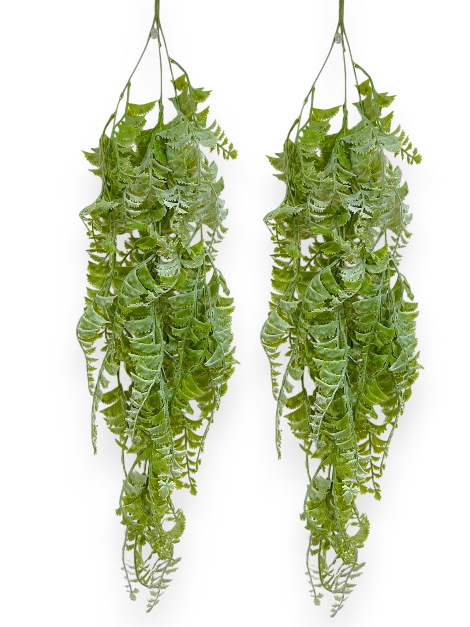 Hanging Fern 30" (2pcs)