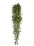 Spanish Moss Hanging Bush 31"