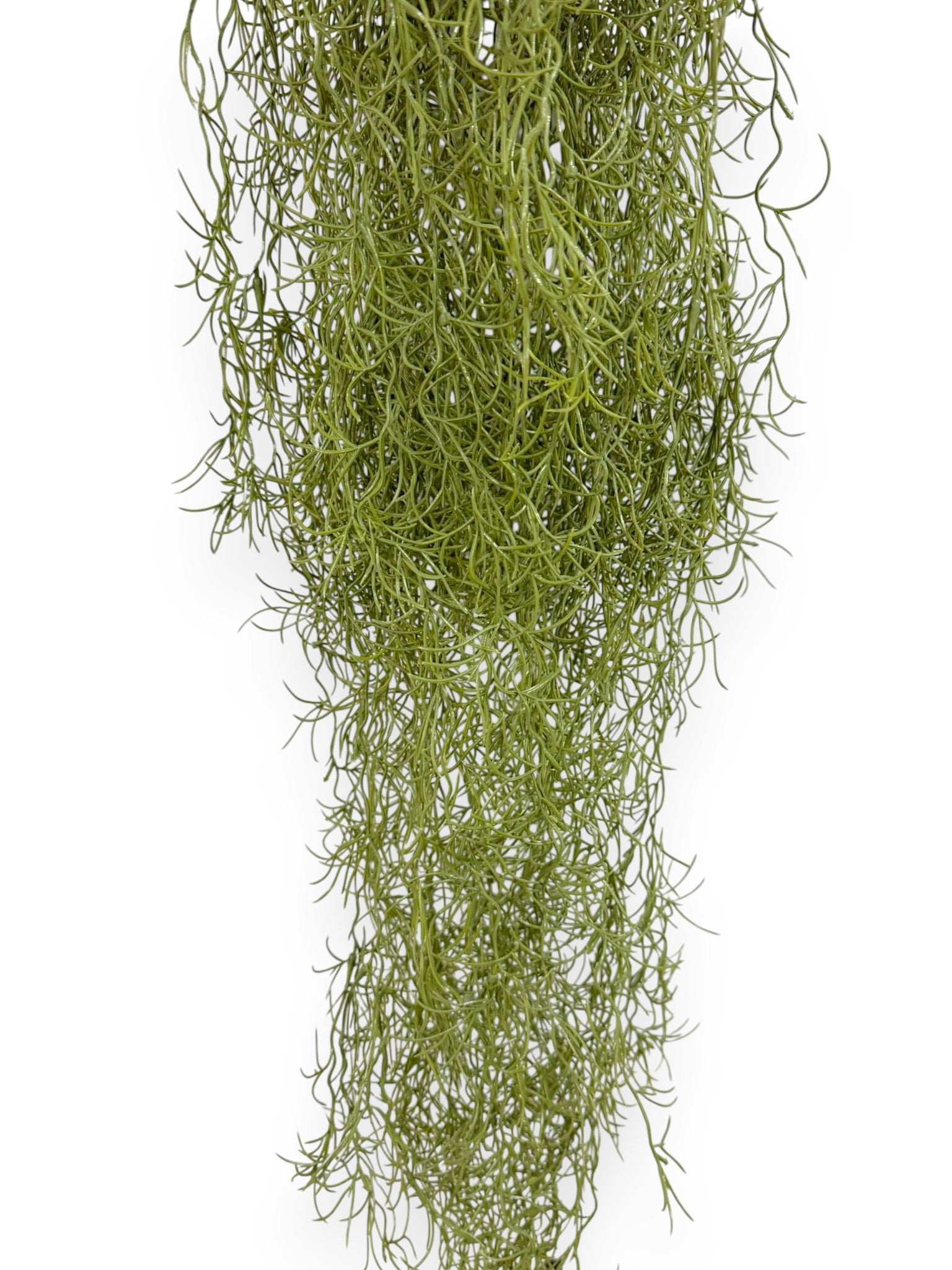 Spanish Moss Hanging Bush 31"