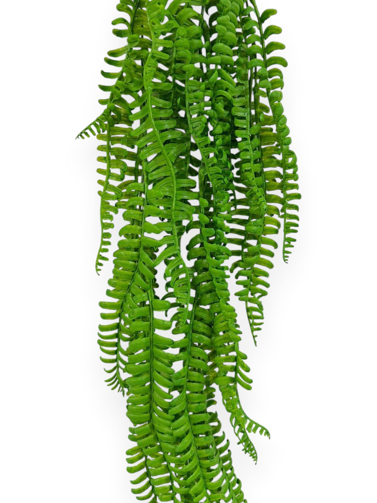 Hanging Fern 34" (2pcs)