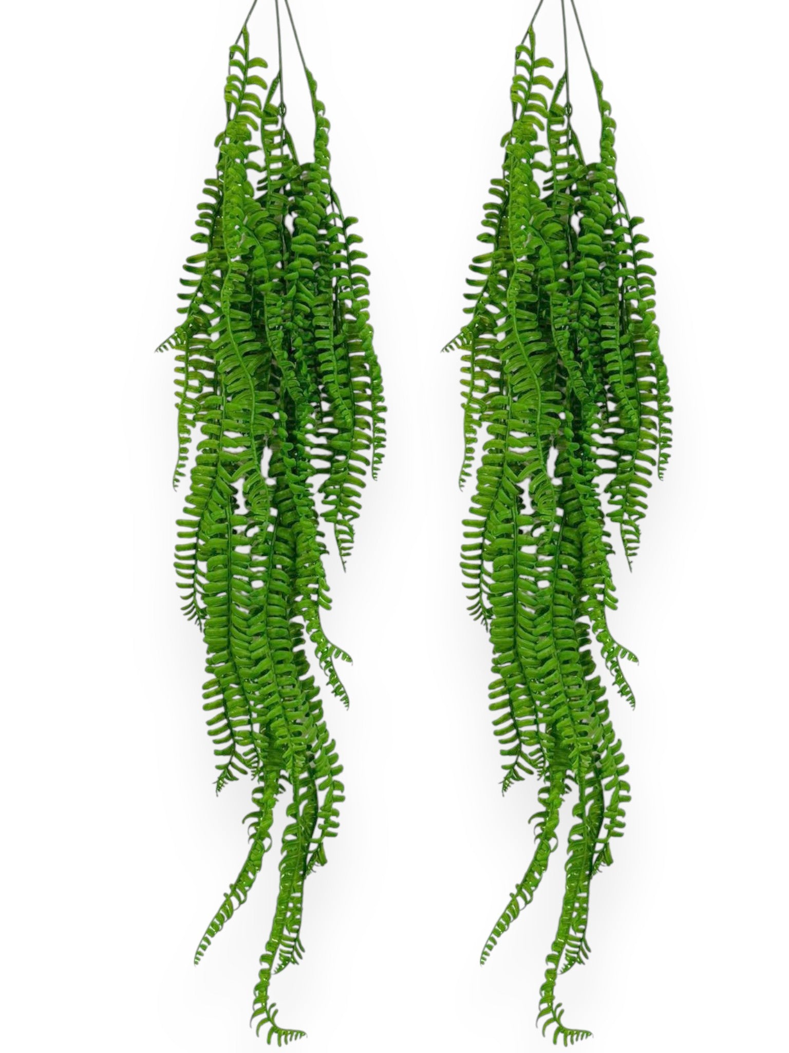 Hanging Fern 34" (2pcs)
